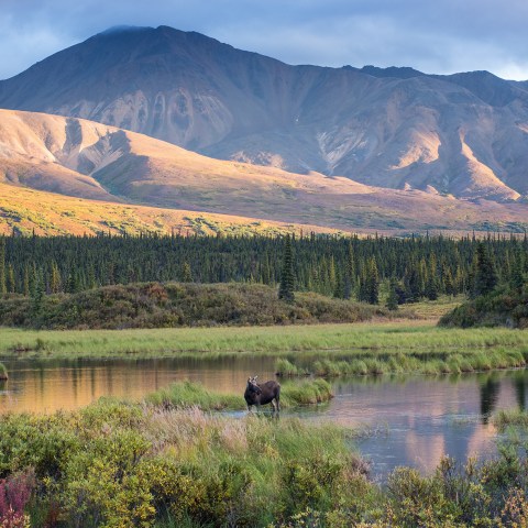 Great landscape of Alaska