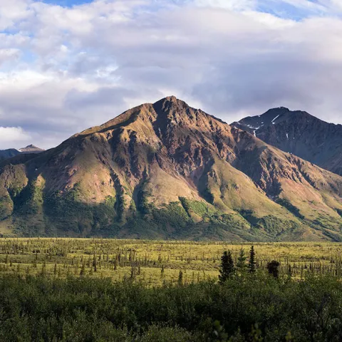 evening photo tour image