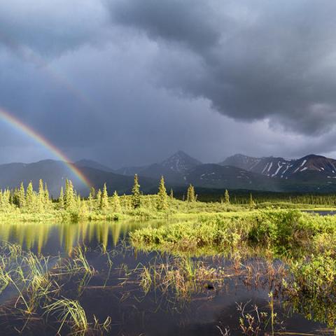evening photo tour with rainbow and grassy plains & mountians