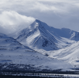 Snowy peeks in Denali