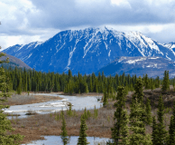 Stream, forest and mountains in the background