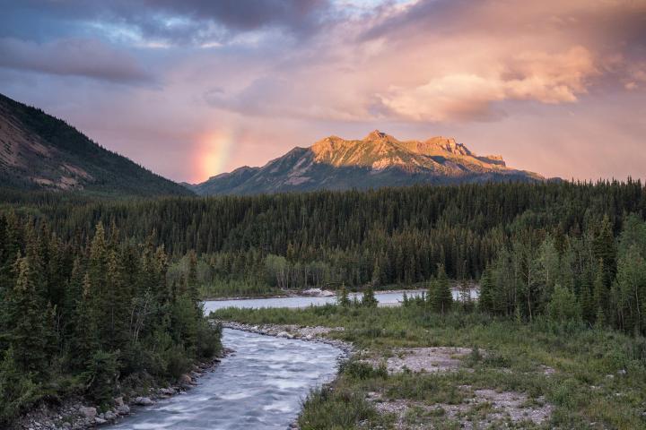 rainbow over a river in a forest